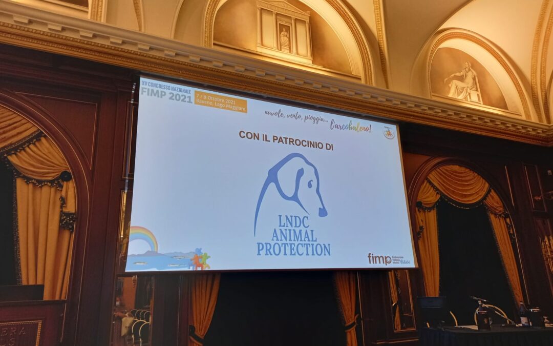 Medici pediatri: gli animali domestici validi alleati