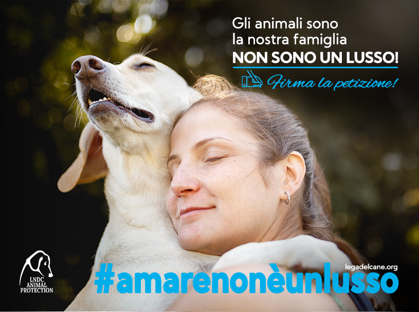 #amarenonèunlusso – Petizione per spese veterinarie più accessibili