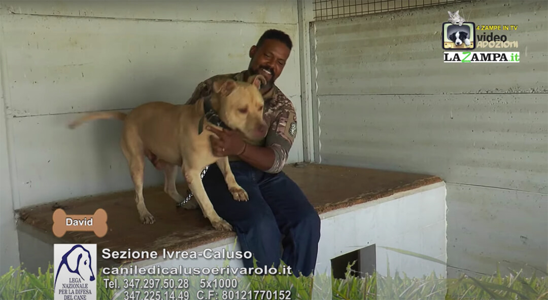 4 Zampe in TV al Rifugio LNDC di Caluso – Ivrea (TO) – Parte 6