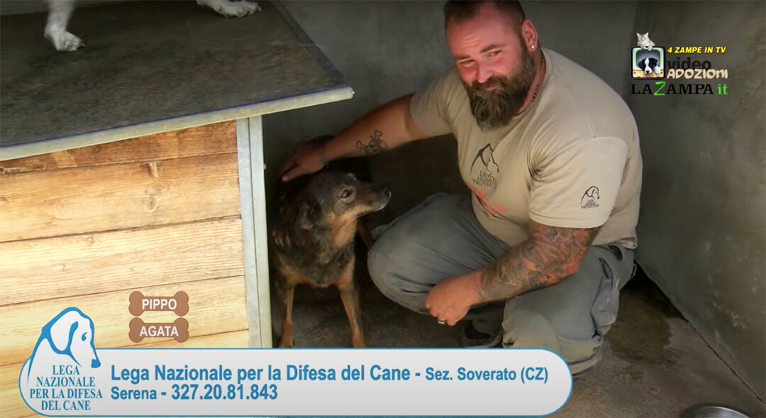 4 Zampe in TV al Rifugio LNDC di Soverato (CZ) – Puntata 2