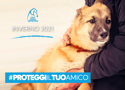 E’ arrivato il freddo: il decalogo di LNDC per proteggere i nostri animali