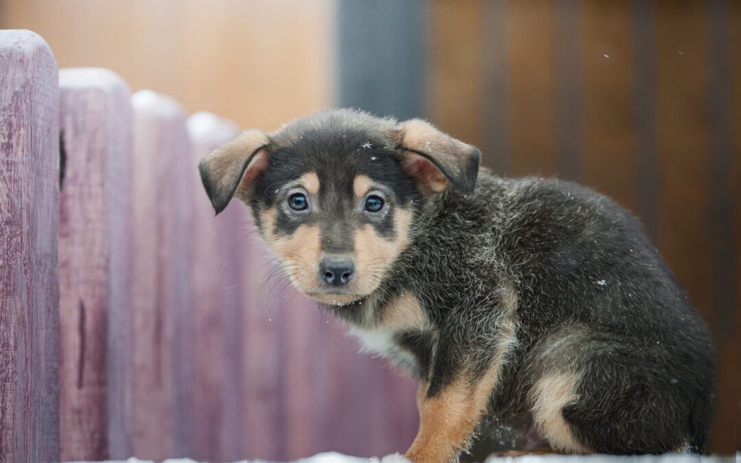 #buttaibotti 2021 – Festeggiamo in sicurezza e con rispetto