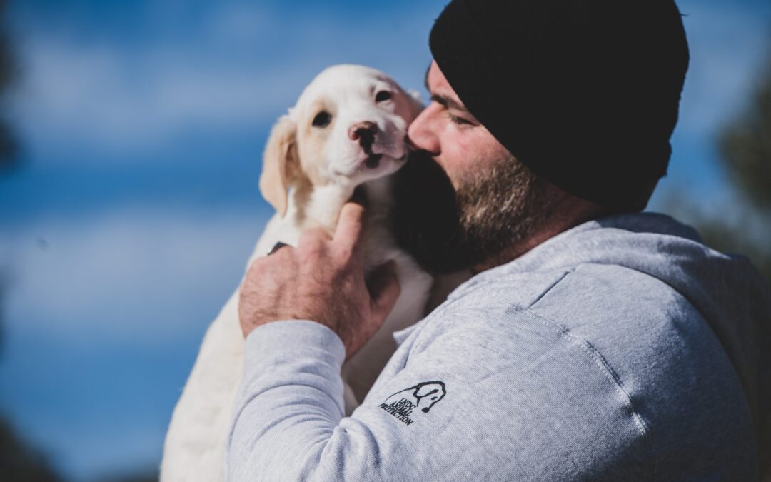 Costituzione – Vittoria!