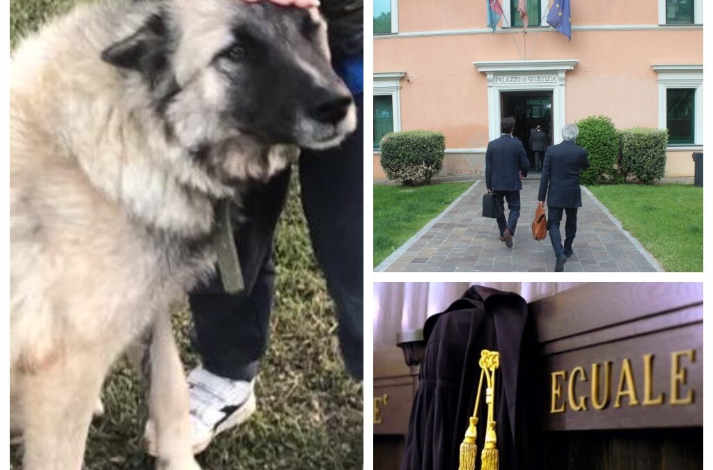 Imperia – Condannato grazie a LNDC per l’assassinio di Rufus