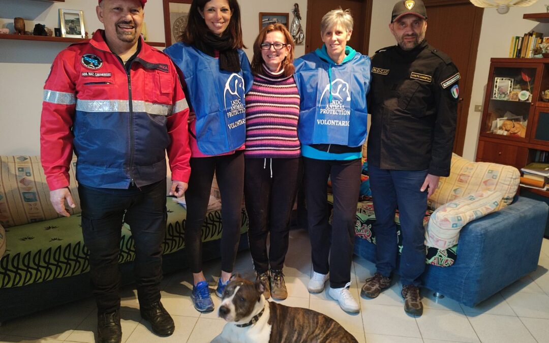 Ucraina – Leon e Selvy, dalla guerra alla casa in Italia