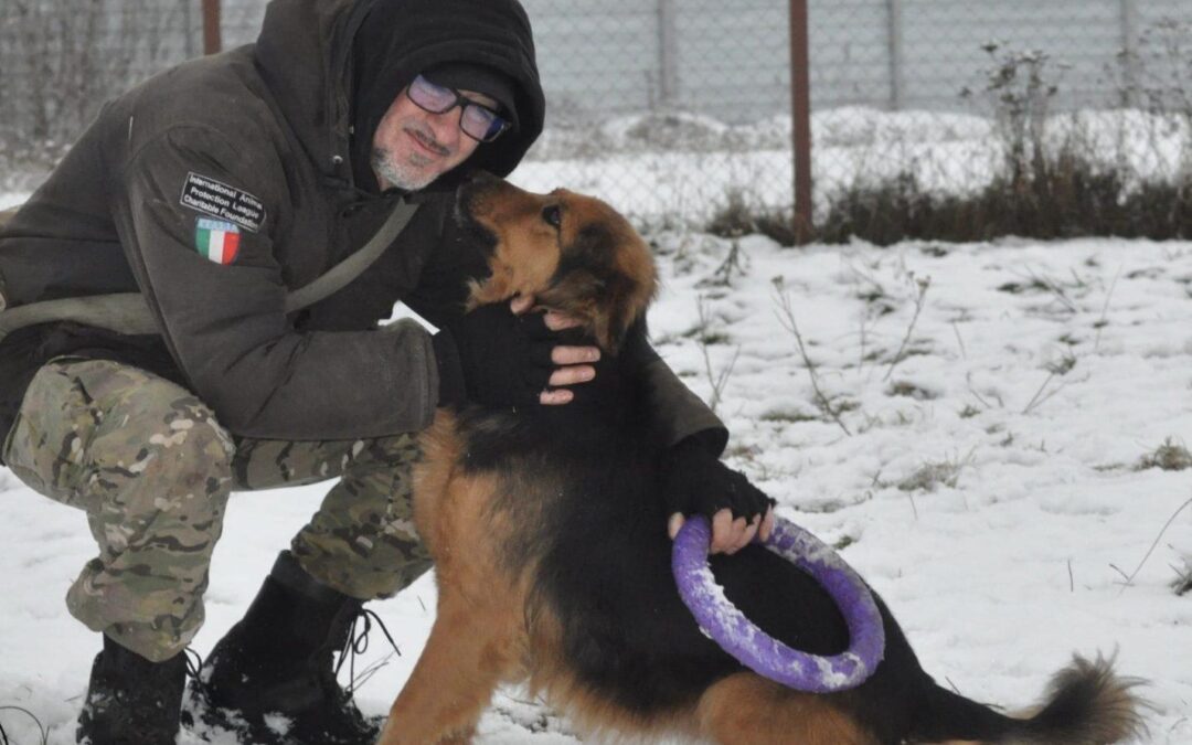 Ucraina – LNDC  scrive al Ministro degli Esteri per aiutare Andrea Cisternino