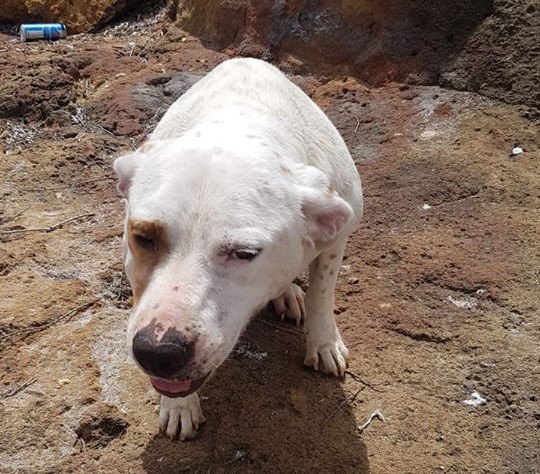 Trapani – Condanna per l’uomo che aveva tentato di annegare Mia