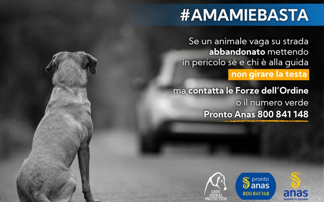 Incidenti provocati dall’abbandono. Parte la campagna estiva LNDC e Anas