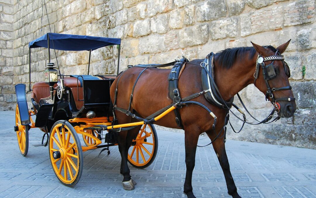 Cavalli e caldo – LNDC si appella ai turisti e ai sindaci