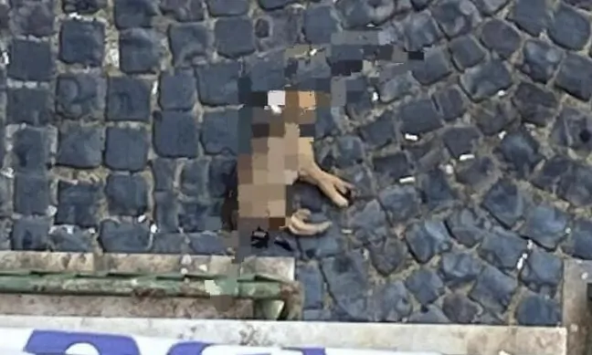 Velletri (RM) – Cucciola muore cadendo dal 4° piano. LNDC denuncia