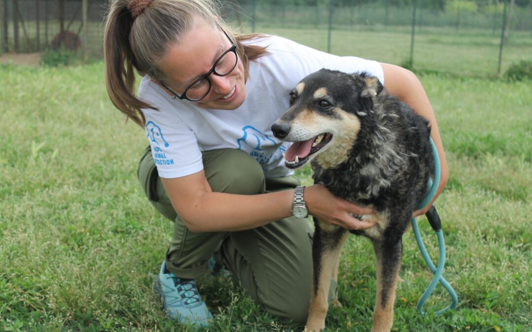 Dall’Ucraina all’Italia – 30 sopravvissuti del canile di Borodyanka in cerca di casa