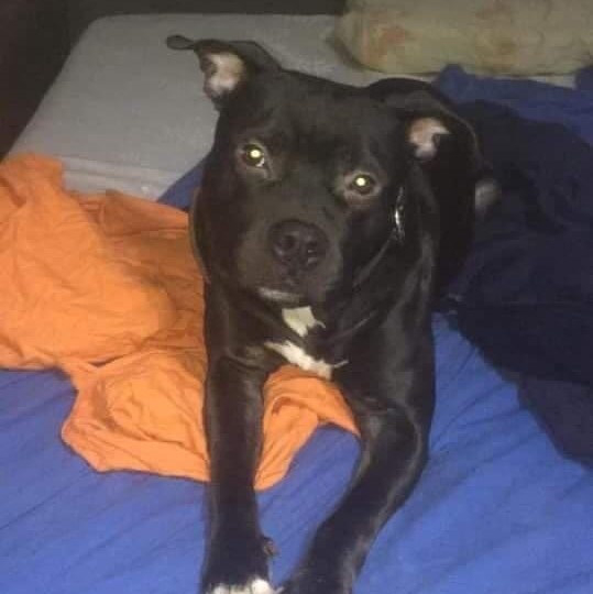 L’agente di polizia che ha ucciso Rocky è stato assolto. LNDC profondamente delusa dal Tribunale di Napoli