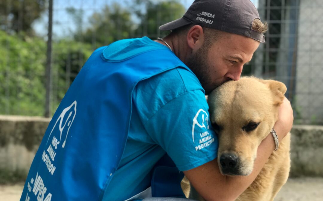 Pescara – Stallo sul nuovo rifugio. Le Associazioni: “Occasione sprecata”