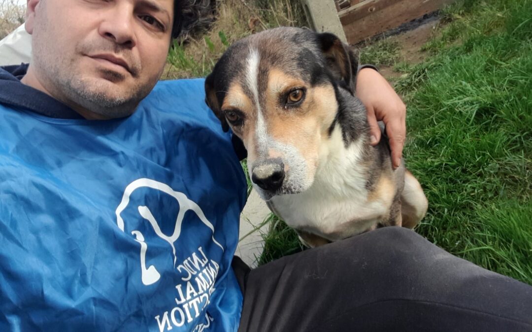 Bevagna (PG) – Il Comune vuole chiudere il canile e trasferire i cani. LNDC propone soluzioni alternative