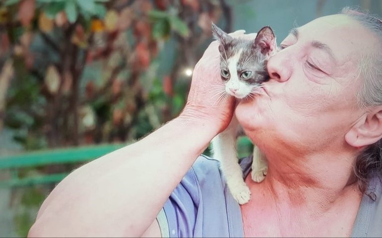 Tortolì (NU) – Colonia felina fuori controllo. LNDC ha chiesto intervento di Comune e ASL