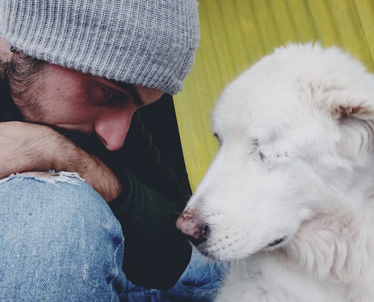 Pescara – Gli animali del canile stanno per perdere la loro casa