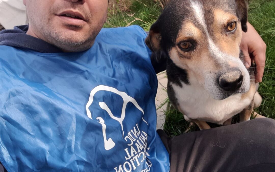 Il canile di Bevagna (PG) ancora a rischio chiusura. LNDC, LEIDAA e OIPA scrivono alla sindaca e lanciano un mailbombing di protesta