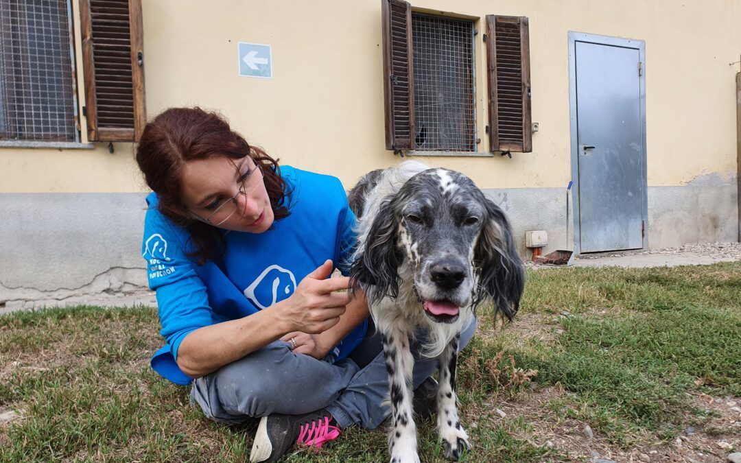 LNDC lancia lo spot “In difesa degli animali”