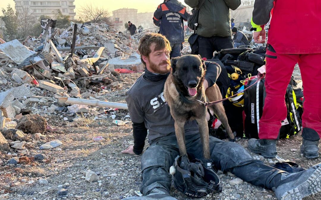 Emergenza Turchia – Successo della raccolta fondi lanciata da LNDC Animal Protection