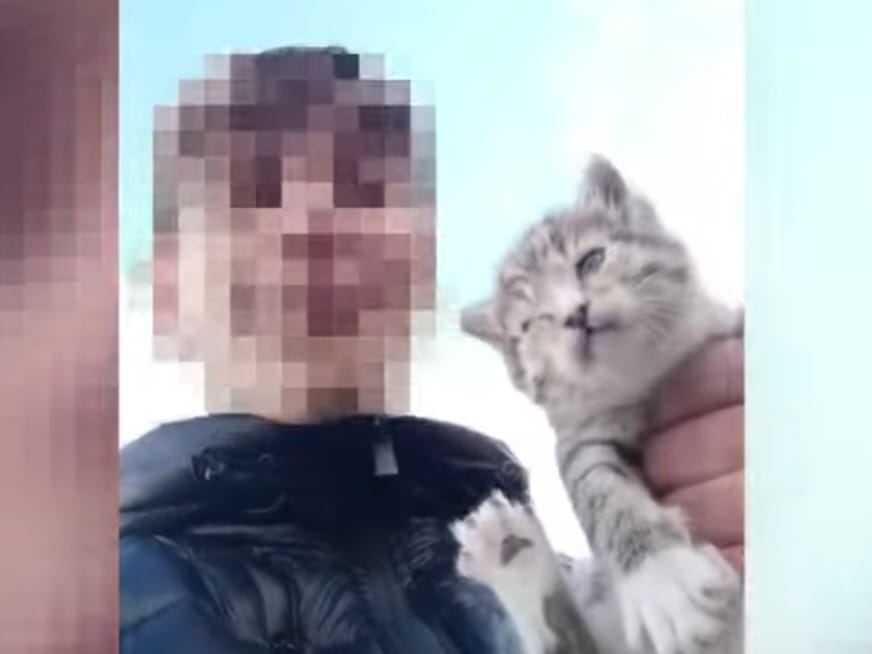 Montefusco (AV) – Lancia un gattino da un dirupo e diffonde il video. LNDC Animal Protection sporge denuncia
