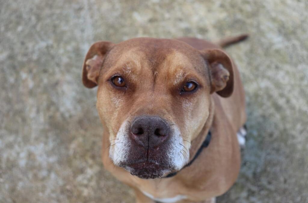 Dopo una vita difficile, Siria cerca un nuovo inizio