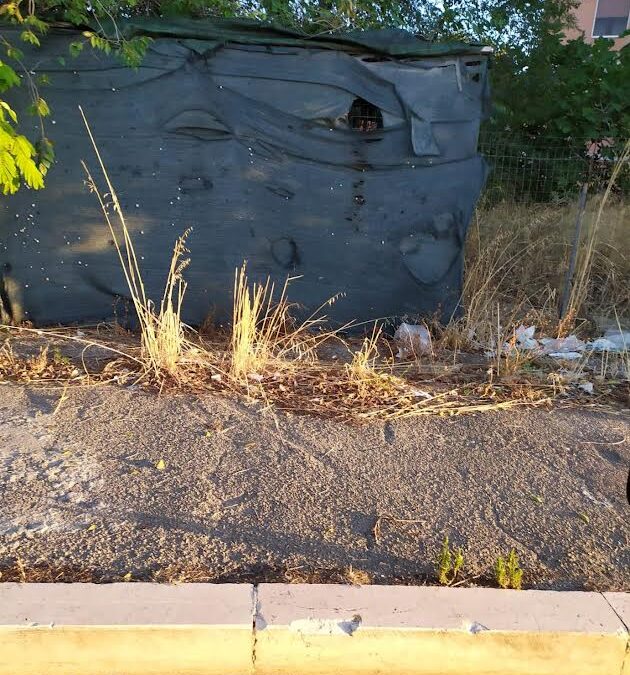 Cani da caccia in condizioni precarie a Foggia. LNDC Animal Protection chiede intervento delle istituzioni