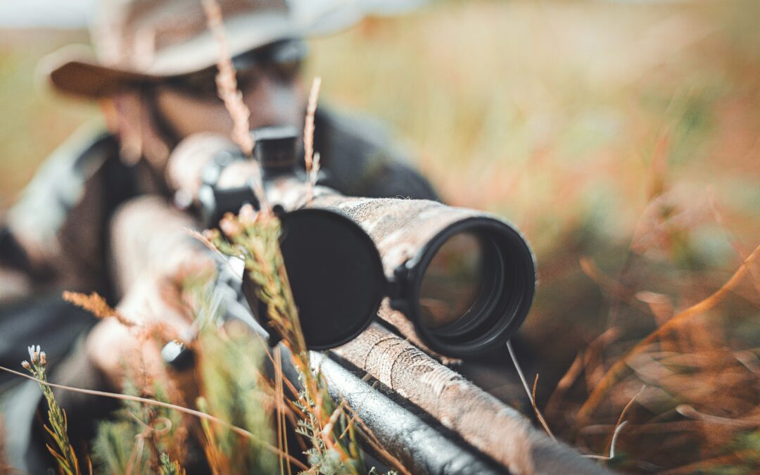 Il Governo dichiara guerra alla fauna selvatica e alla biodiversità. LNDC Animal Protection chiede alle Regioni di usare il buon senso