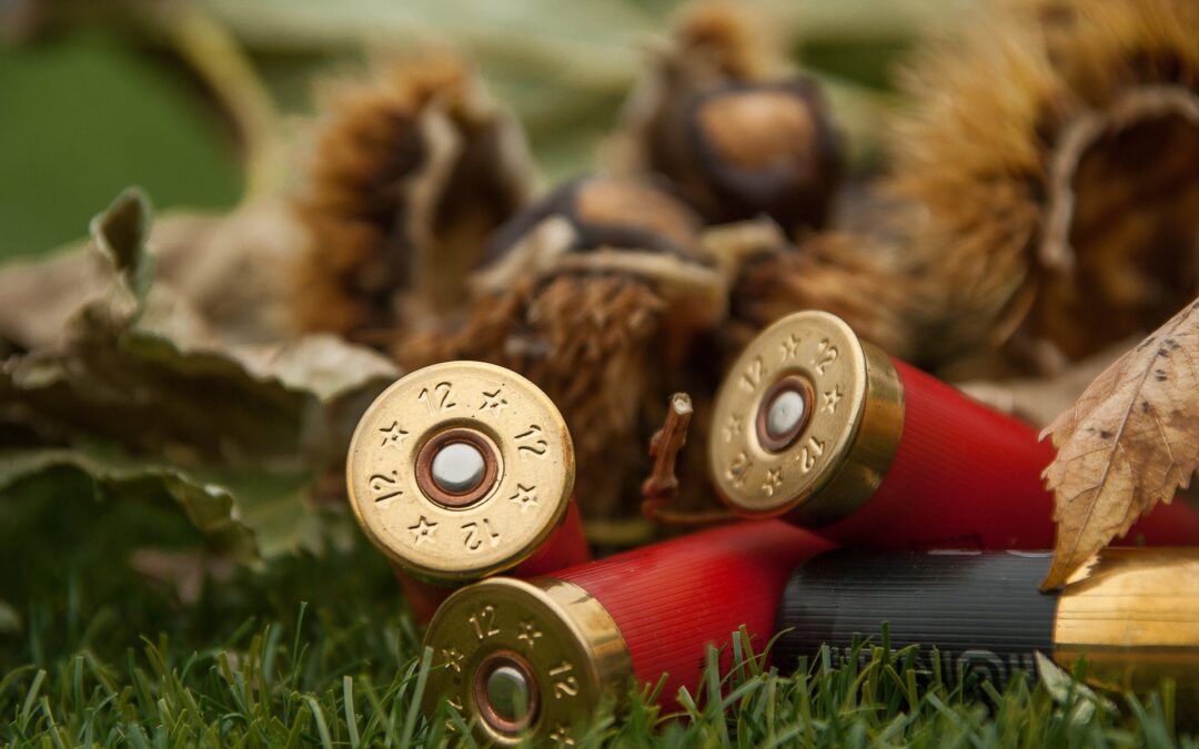 Associazioni scrivono a Governo e Parlamento: “Ritirare emendamenti avvelenati. A rischio salute di ambiente, animali e persone”.