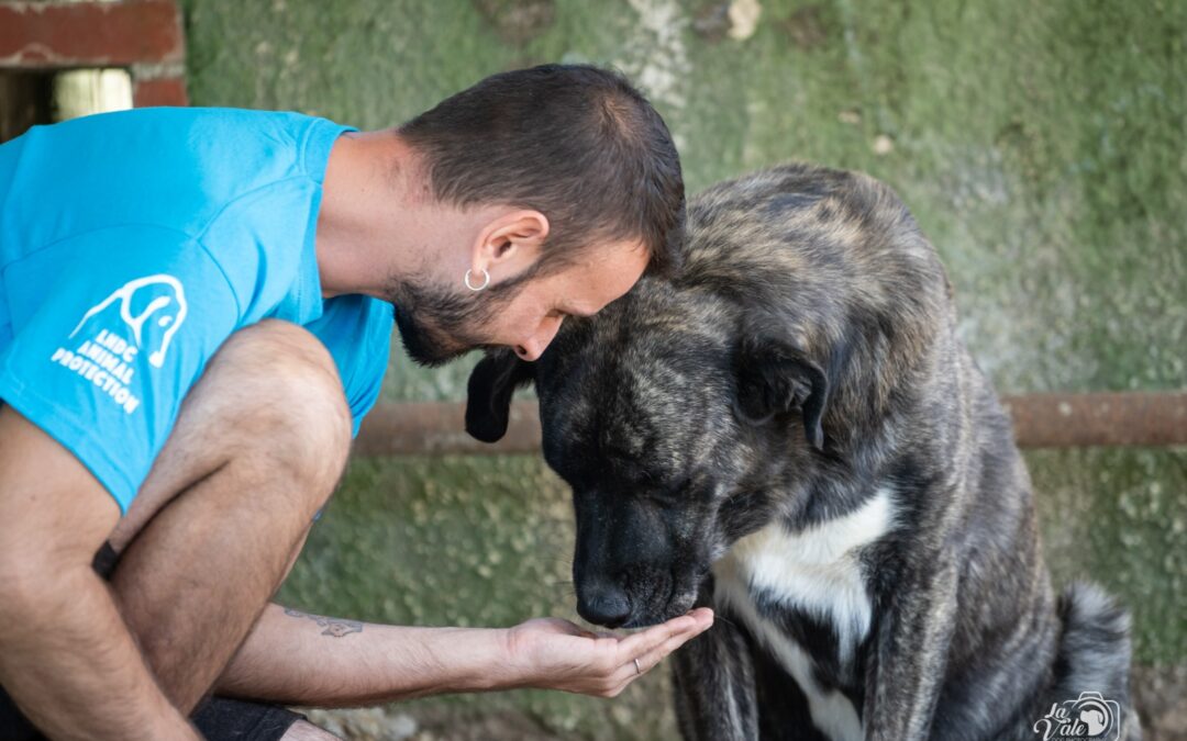 Lettera aperta al Sindaco di Pescara