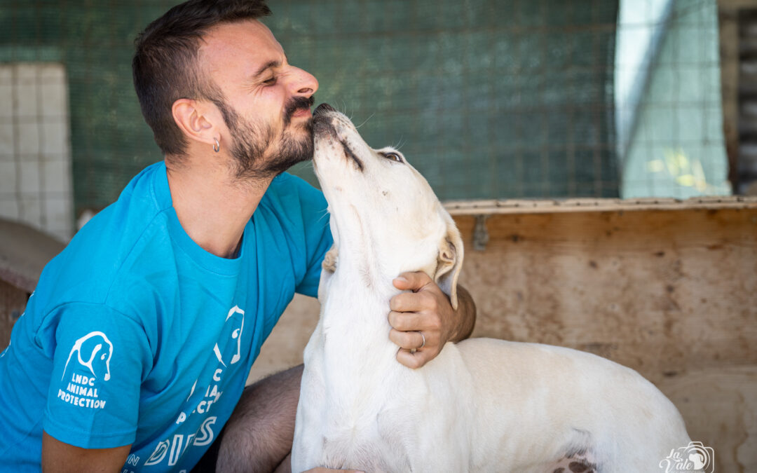 Il Comune di Pescara getta finalmente la maschera