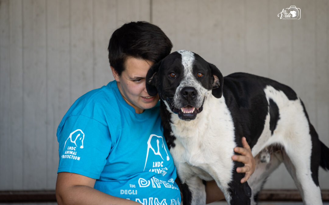 Lettera aperta al Sindaco di Pescara dalla Presidente nazionale LNDC Animal Protection