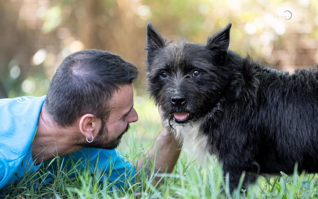LNDC Animal Protection risponde all’assessore Di Nisio di Pescara