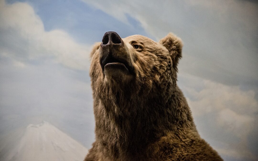 ORSA F36: ASSOCIAZIONI INTENZIONATE A PROSEGUIRE L’AZIONE GIUDIZIARIA NONOSTANTE LA DICHIARAZIONE DI IMPROCEDIBILITA’ DEL RICORSO A SEGUITO DELLA MORTE DELL’ORSA