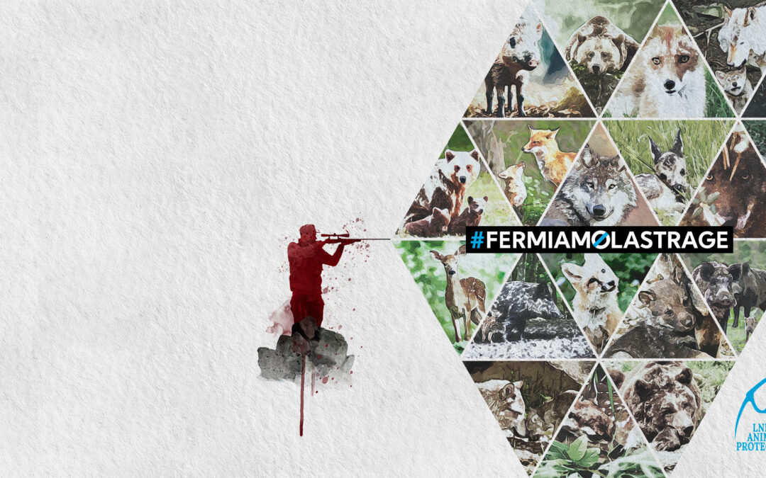 Guerra agli animali selvatici. LNDC Animal Protection grida: Fermiamo la strage!