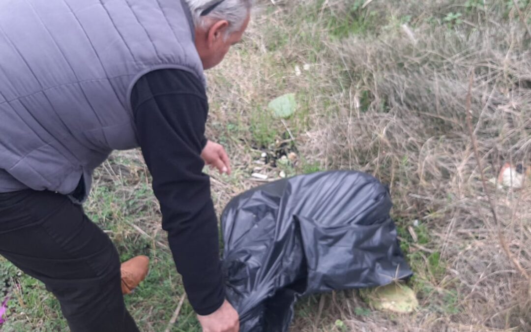 RITROVATA MORTA SUL LITORALE DI ANZIO UNA CAGNOLONA INCINTA. LNDC DENUNCIA E CHIEDE CHE SIA FATTA CHIAREZZA