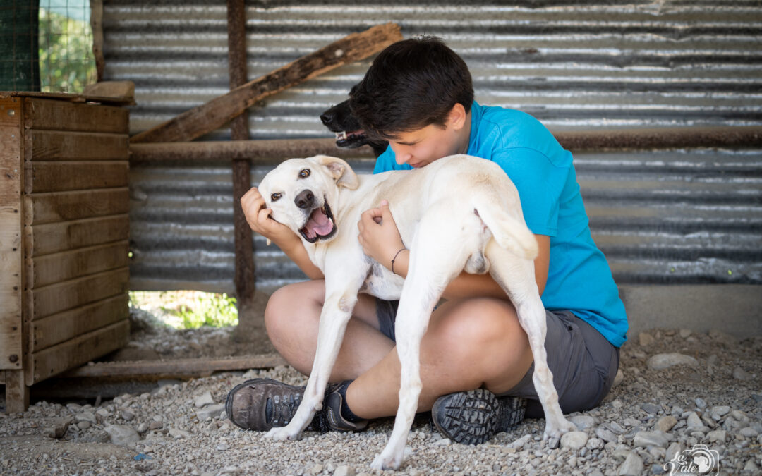 Grande successo all’open day in canile ma il Comune continua a fare muro in modo imbarazzante