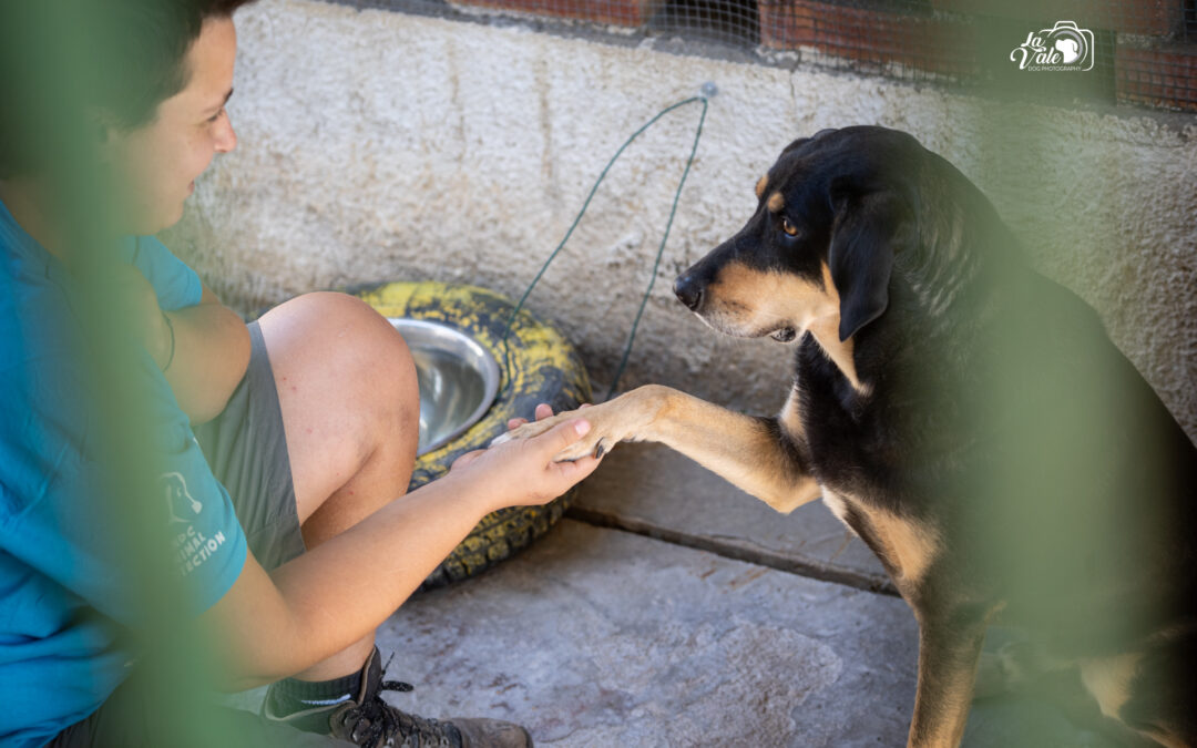 LNDC invia istanza al Comune di Pescara per riesaminare i documenti e procede con le adozioni