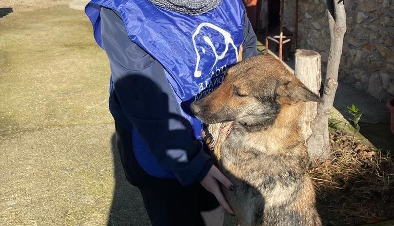 Mamma e cuccioli buttati in un pozzo ad Altamura e salvati da LNDC Animal Protection con il prezioso aiuto dei Vigili del Fuoco