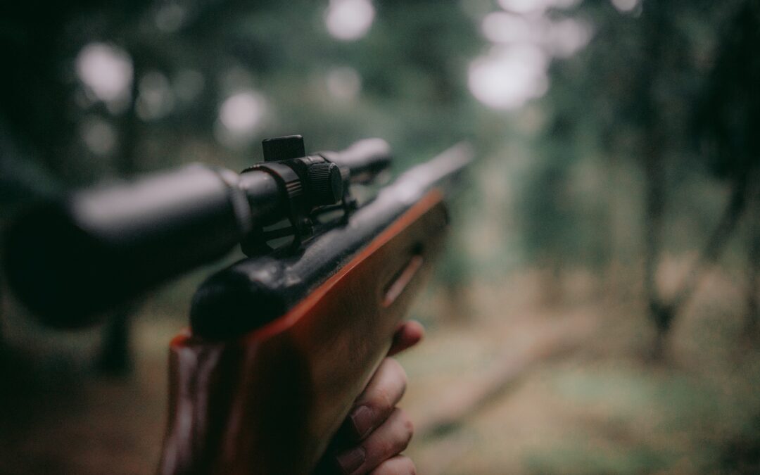 Nuovo attacco agli animali selvatici da parte della maggioranza. LNDC Animal Protection protesta