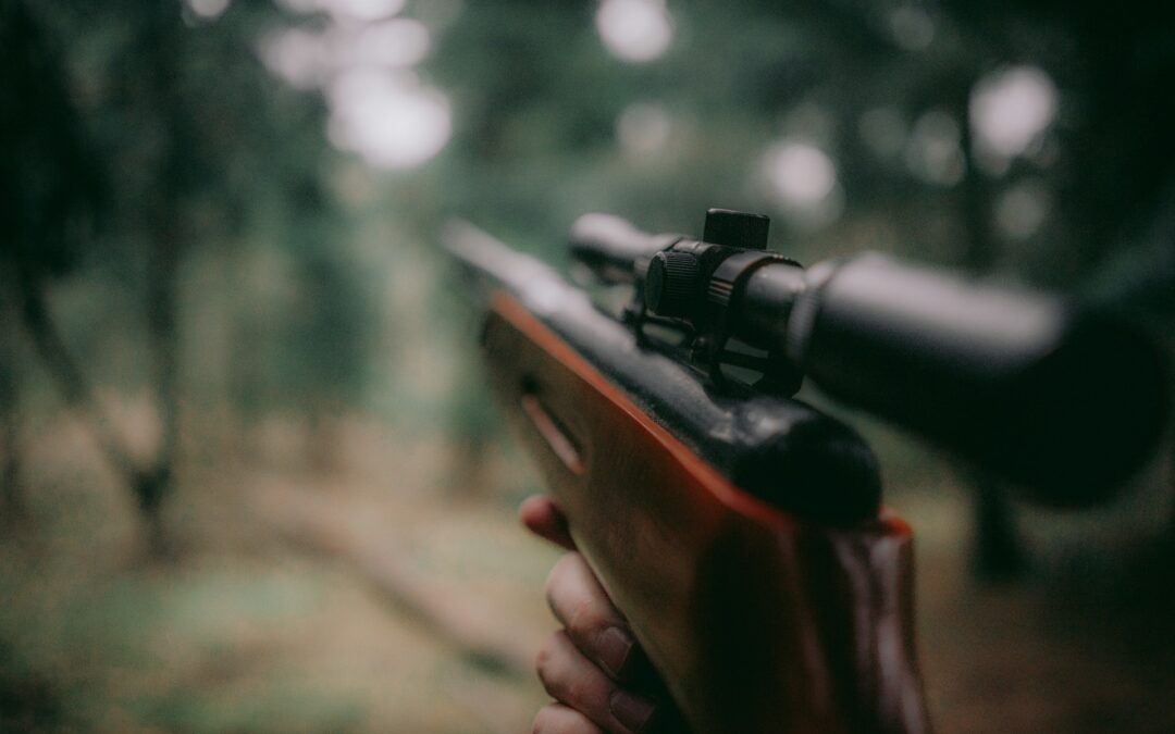 Caccia – Proposta di legge Bruzzone C. 1548, audizione delle associazioni in commissione agricoltura: ritirare la PDL è incostituzionale e contraria alle norme europee.