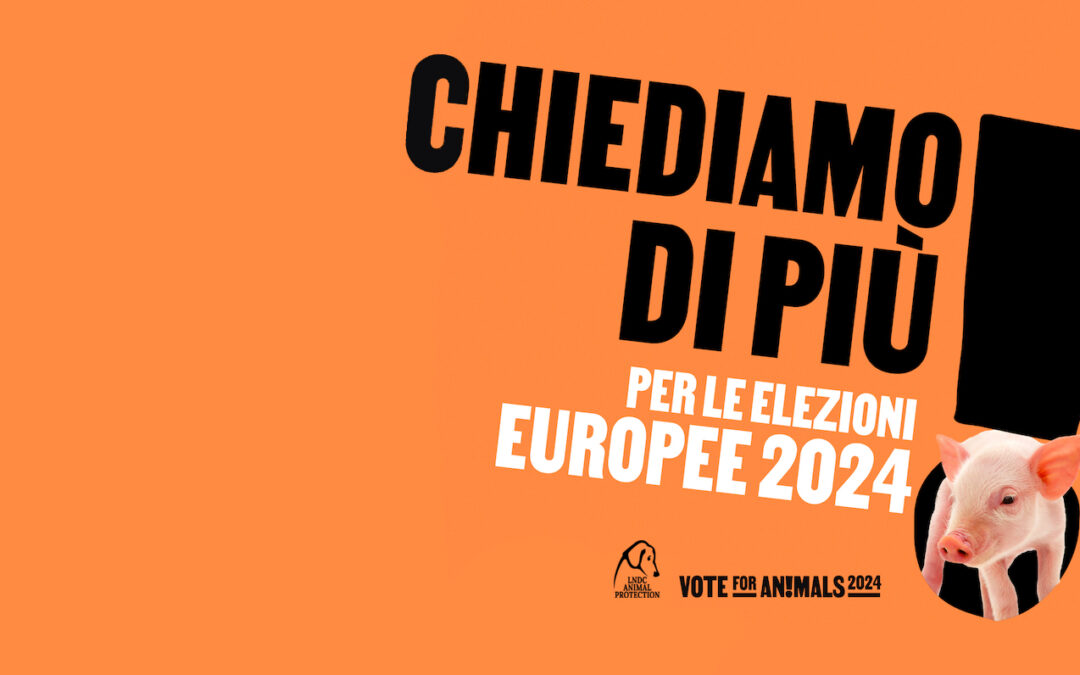 Sondaggio: la tutela degli animali sta a cuore alla stragrande maggioranza degli italiani