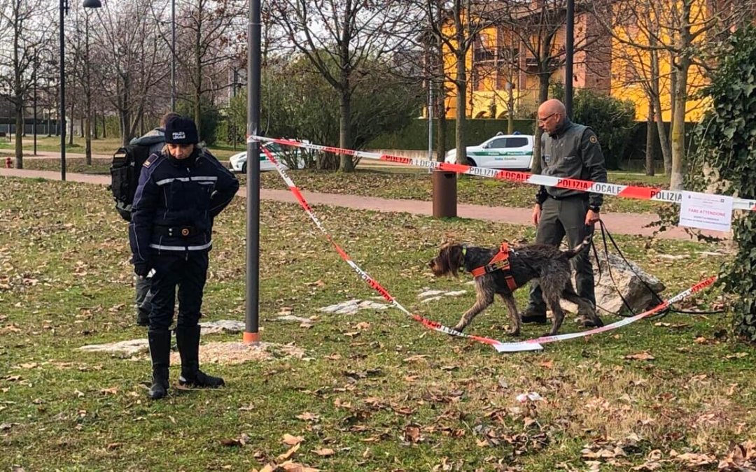 Denunciato uomo per aver sparso esche avvelenate a Sirmione