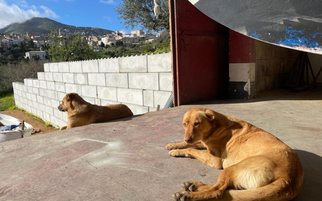 La morte di Nina, ad Alcamo, non è stata un incidente