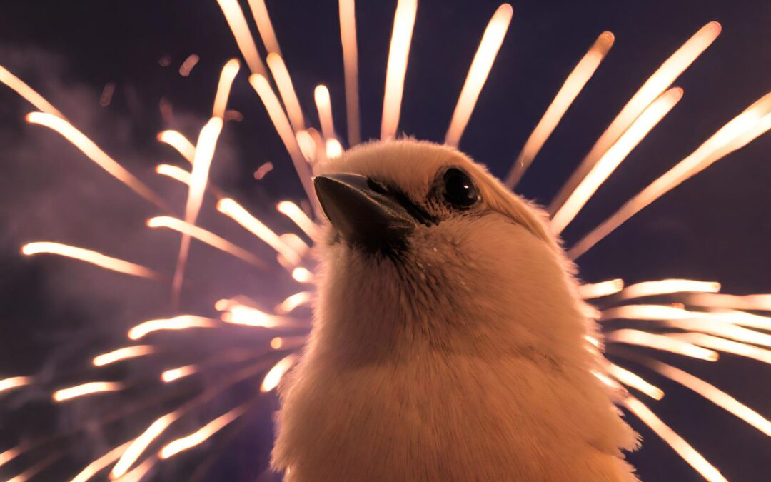 Fuochi artificiali a Pratola Peligna per 15 giorni