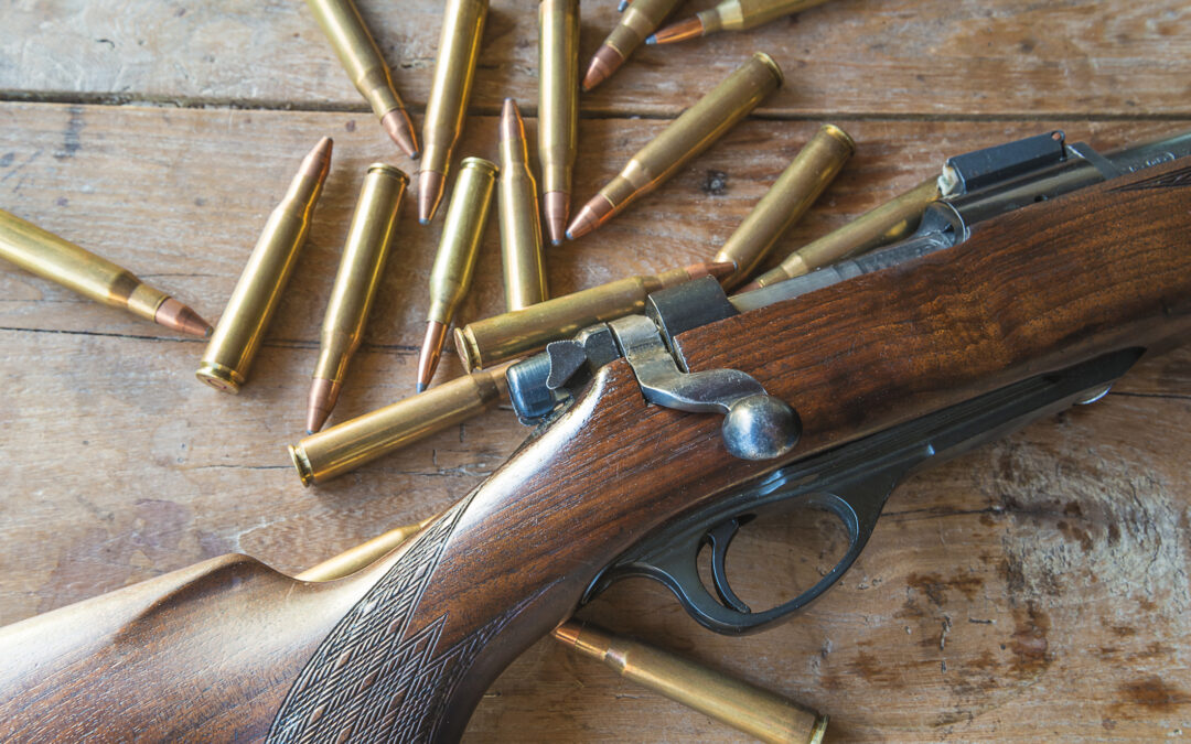 Dal Senato stop al Governo agli emendamenti “caccia selvaggia”