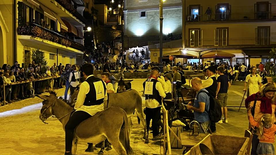 LNDC contro il Palio del Ciuccio di Cuccaro Vetere