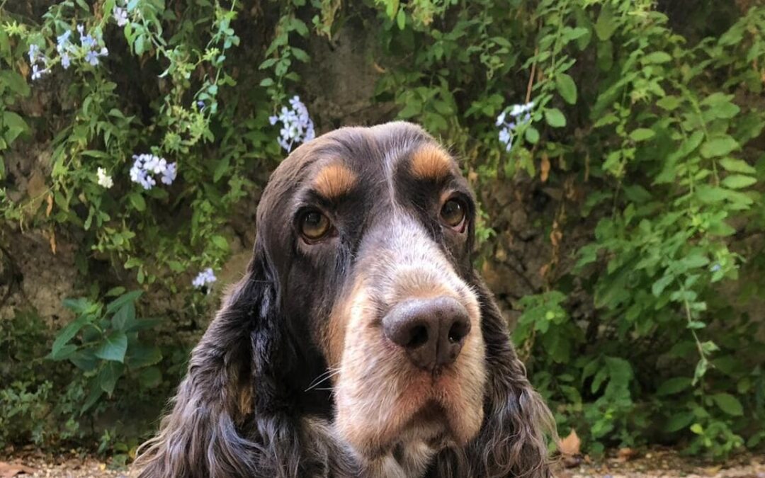 LNDC vuole giustizia per Ricky, ucciso a Roma