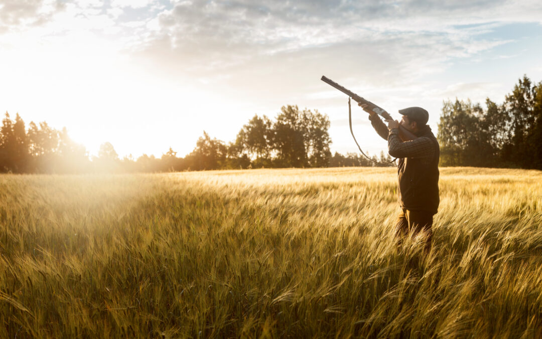 Caccia in violazione delle norme europee. l’UE apre la seconda fase della procedura d’infrazione