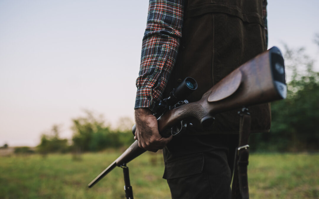 Lettera al Presidente Mattarella contro l’emendamento alla legge di Bilancio